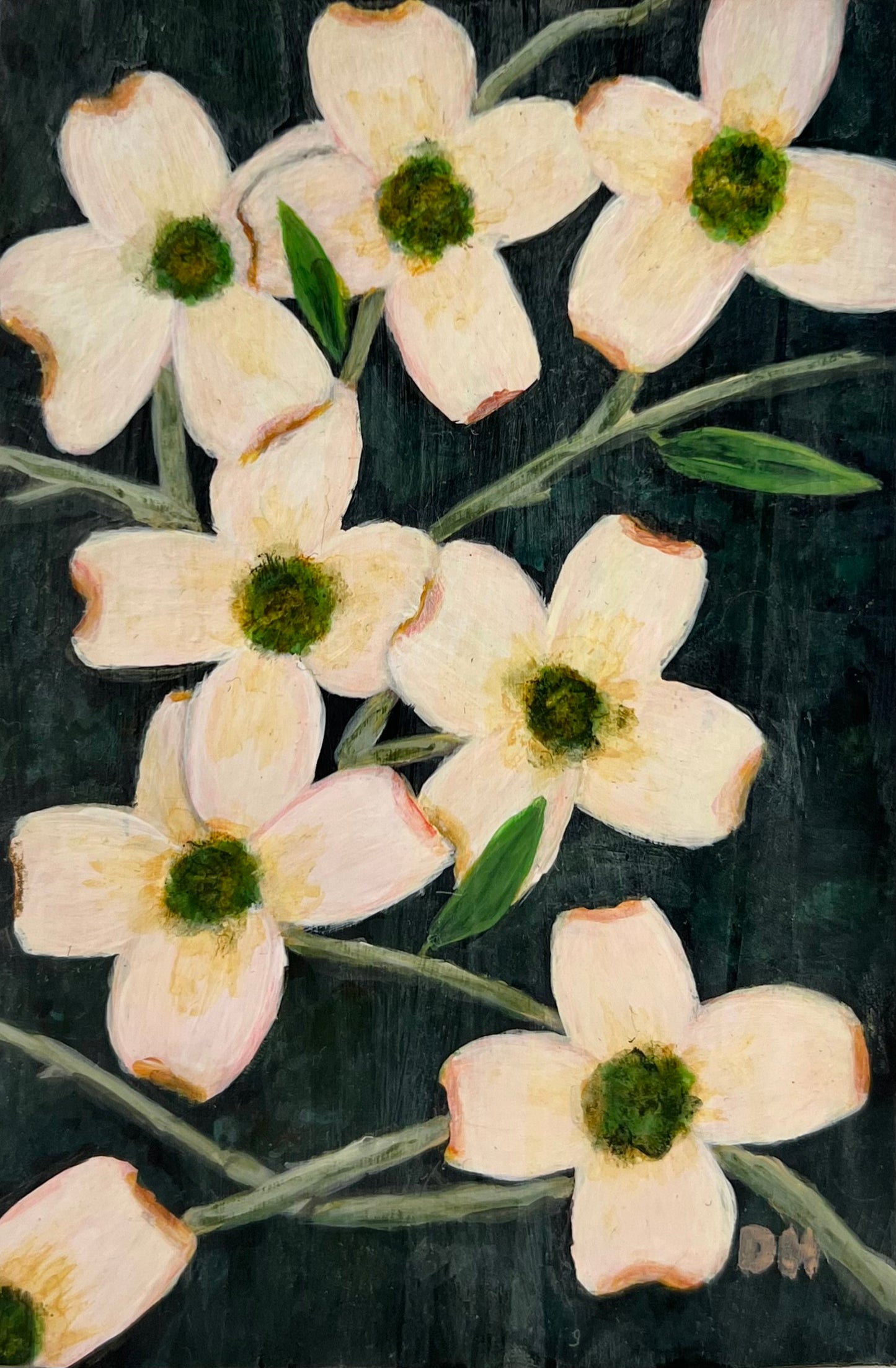 Dogwood in Bloom