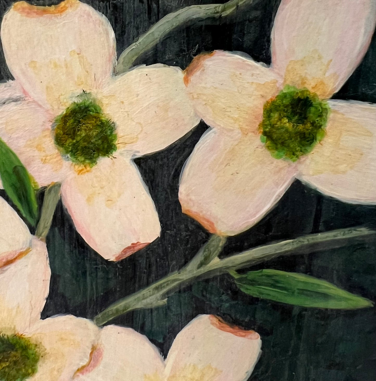 Dogwood in Bloom